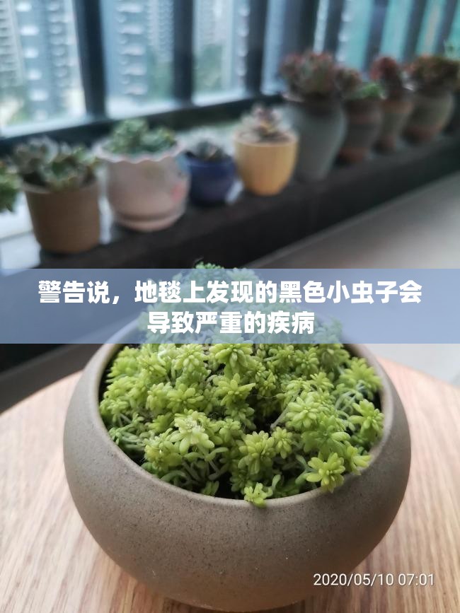 国内 第163页
