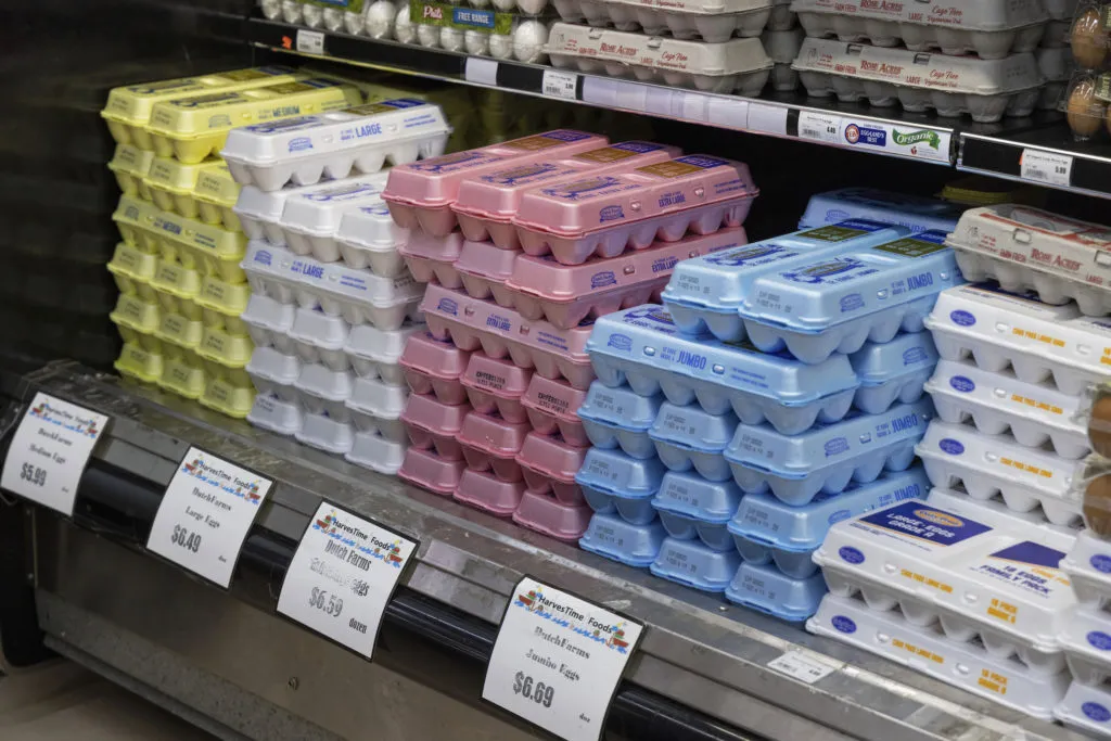 鸡蛋价格飙升：了解食品价格、通货膨胀和经济影响